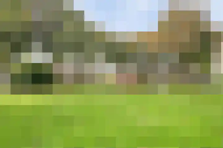 de Leemput 13 Halsteren thumbnail 63