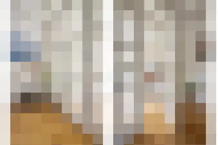 de Leemput 13 Halsteren thumbnail 66