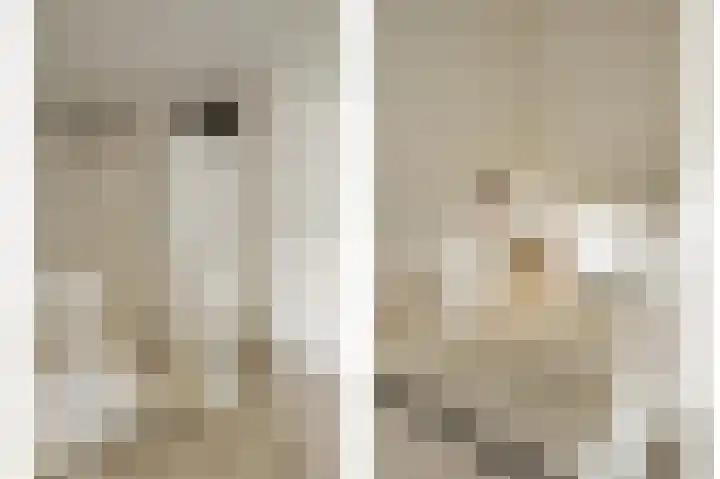 de Leemput 13 Halsteren thumbnail 69