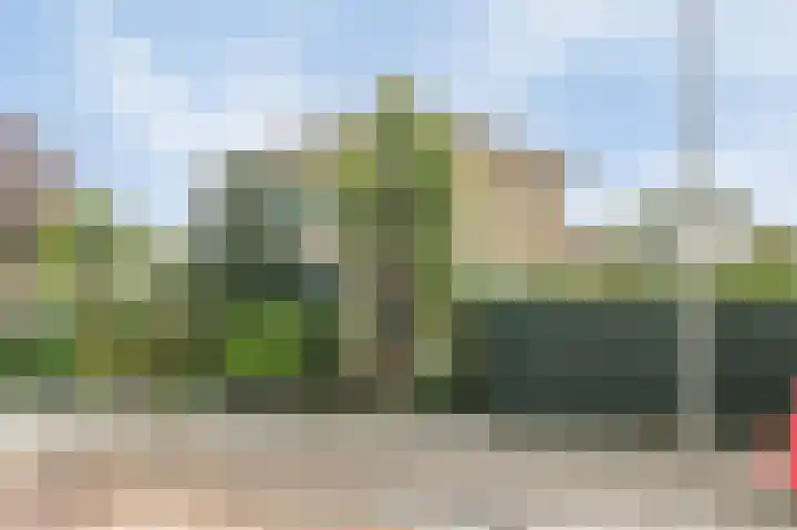 de Leemput 13 Halsteren thumbnail 7