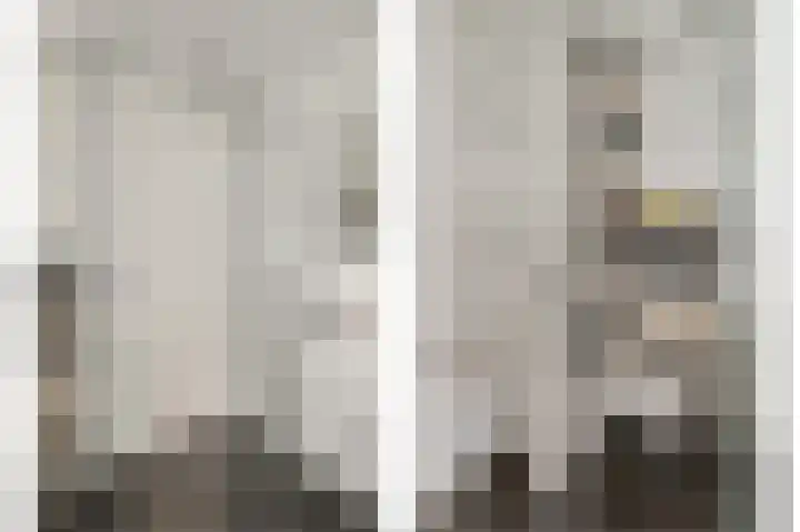 de Leemput 13 Halsteren thumbnail 70