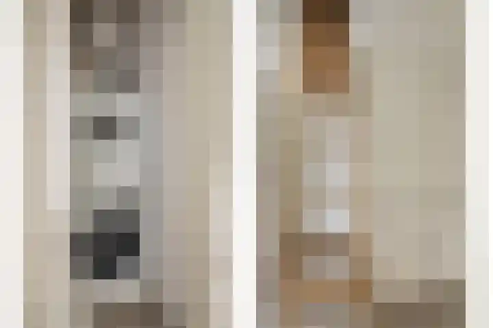 de Leemput 13 Halsteren thumbnail 71