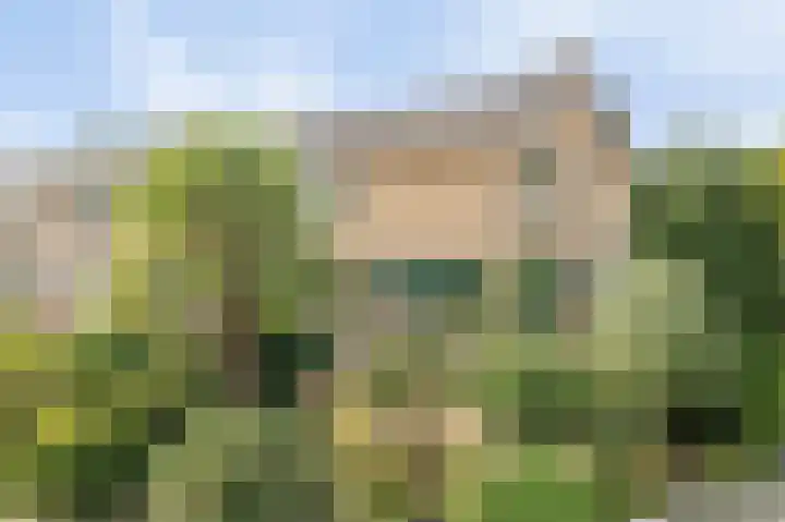 de Leemput 13 Halsteren thumbnail 8