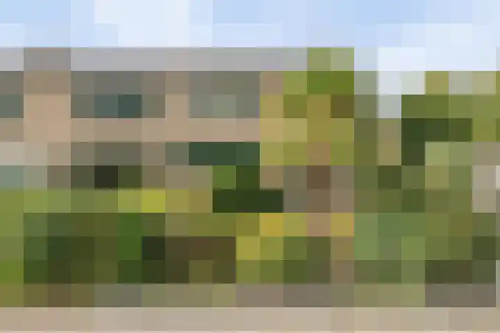 de Leemput 13 Halsteren thumbnail 9