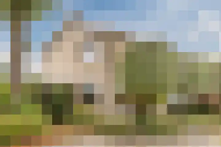 de Leemput 25 Halsteren thumbnail 10