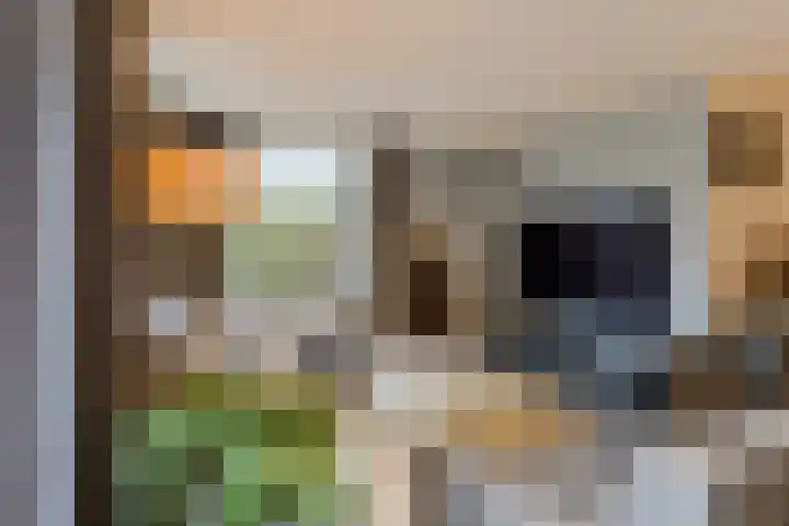 de Leemput 25 Halsteren thumbnail 12