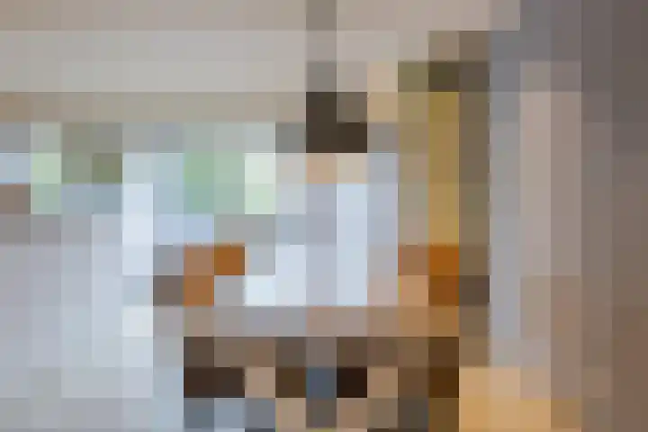 de Leemput 25 Halsteren thumbnail 15