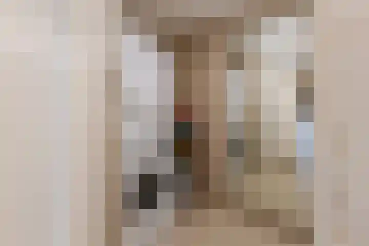 de Leemput 25 Halsteren thumbnail 24