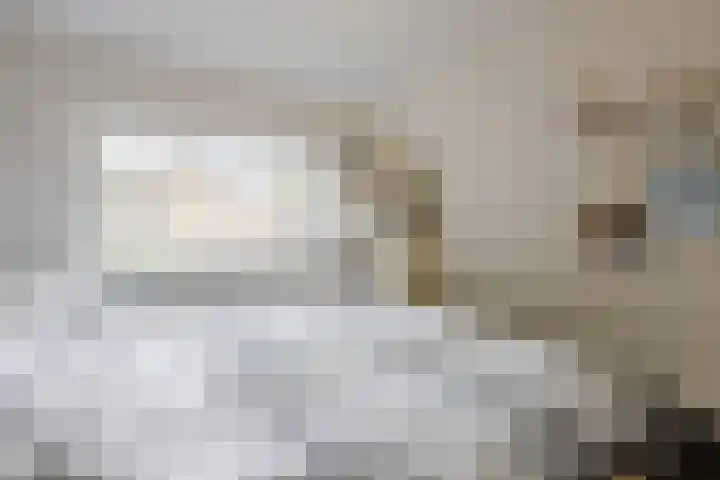 de Leemput 25 Halsteren thumbnail 29