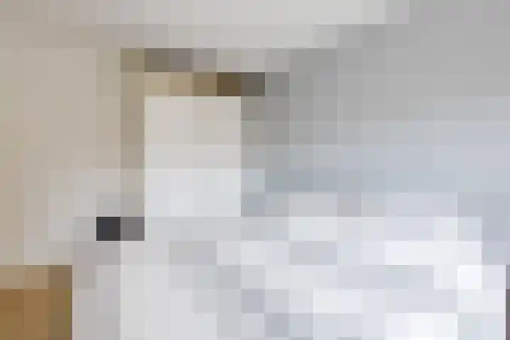 de Leemput 25 Halsteren thumbnail 30