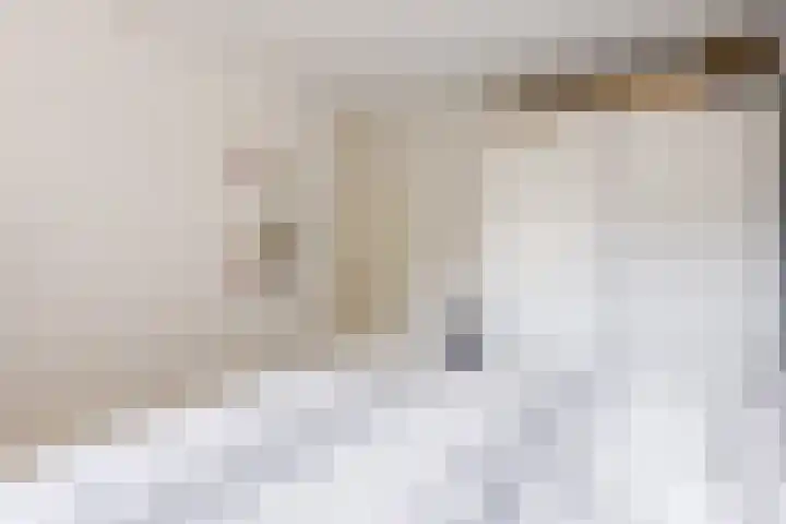 de Leemput 25 Halsteren thumbnail 31