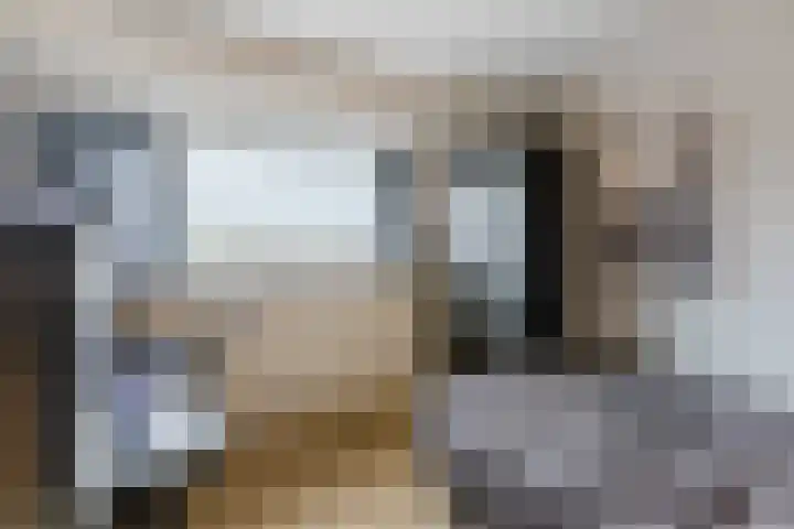 de Leemput 25 Halsteren thumbnail 32