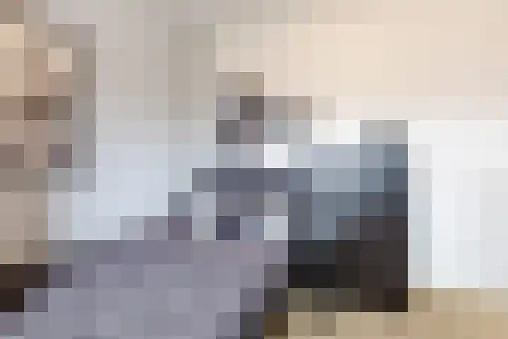 de Leemput 25 Halsteren thumbnail 33