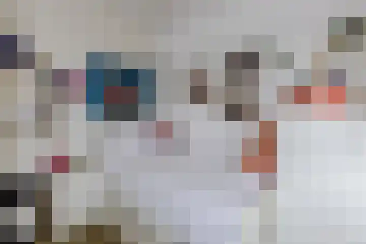 de Leemput 25 Halsteren thumbnail 36