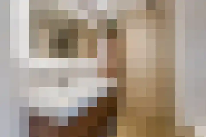 de Leemput 25 Halsteren thumbnail 4