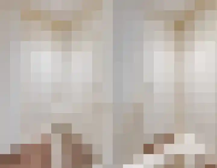 de Leemput 25 Halsteren thumbnail 47