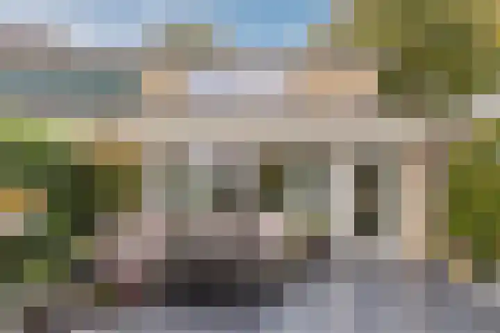 de Leemput 25 Halsteren thumbnail 50