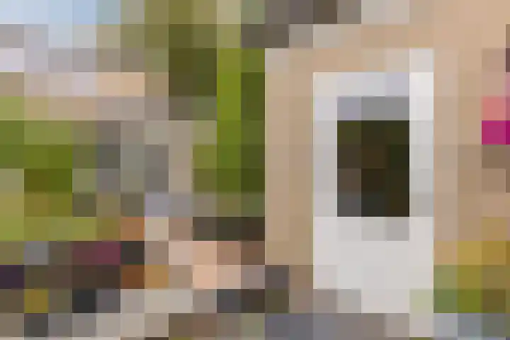 de Leemput 25 Halsteren thumbnail 53