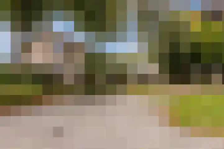 de Leemput 25 Halsteren thumbnail 6