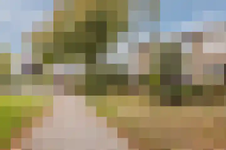 de Leemput 25 Halsteren thumbnail 7