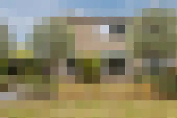de Leemput 25 Halsteren thumbnail 8