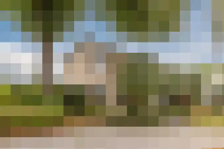 de Leemput 25 Halsteren thumbnail 9
