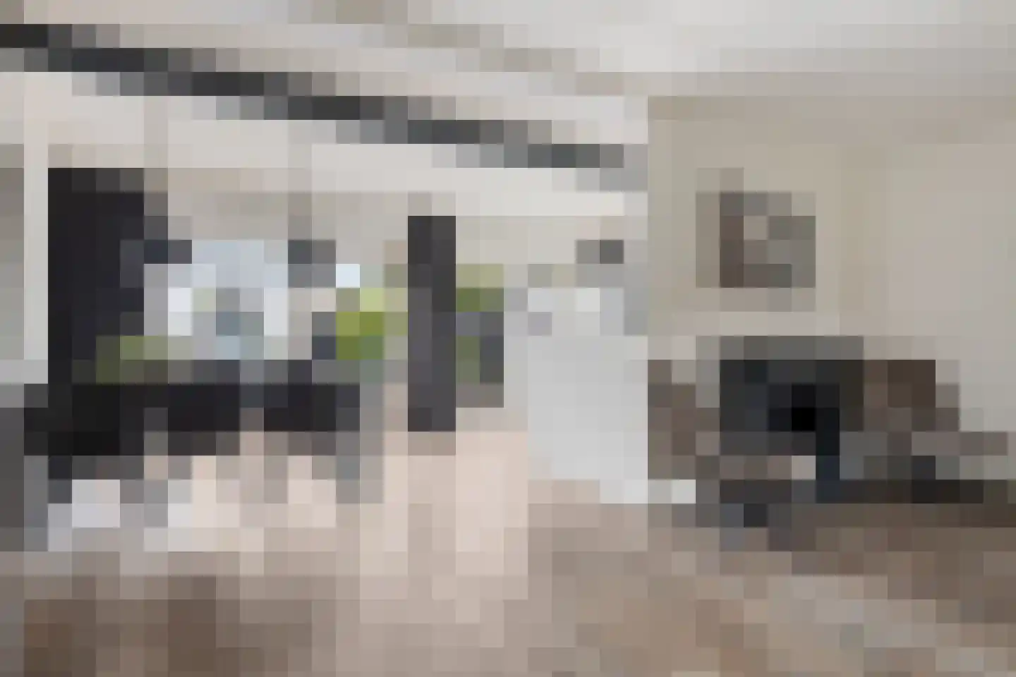 de Leemput 31 Halsteren thumbnail 12