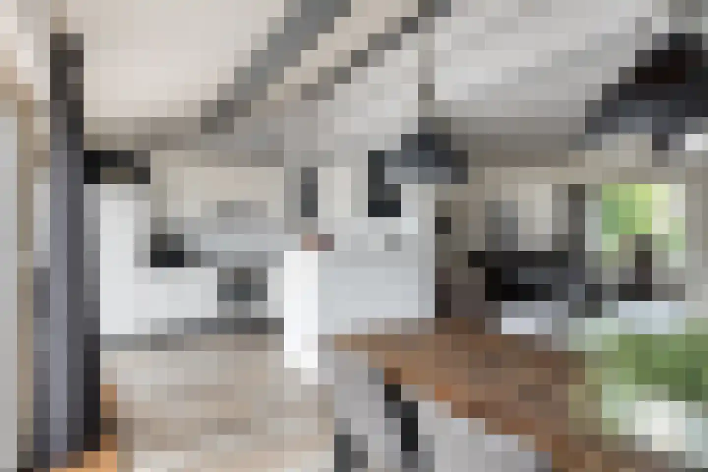 de Leemput 31 Halsteren thumbnail 16