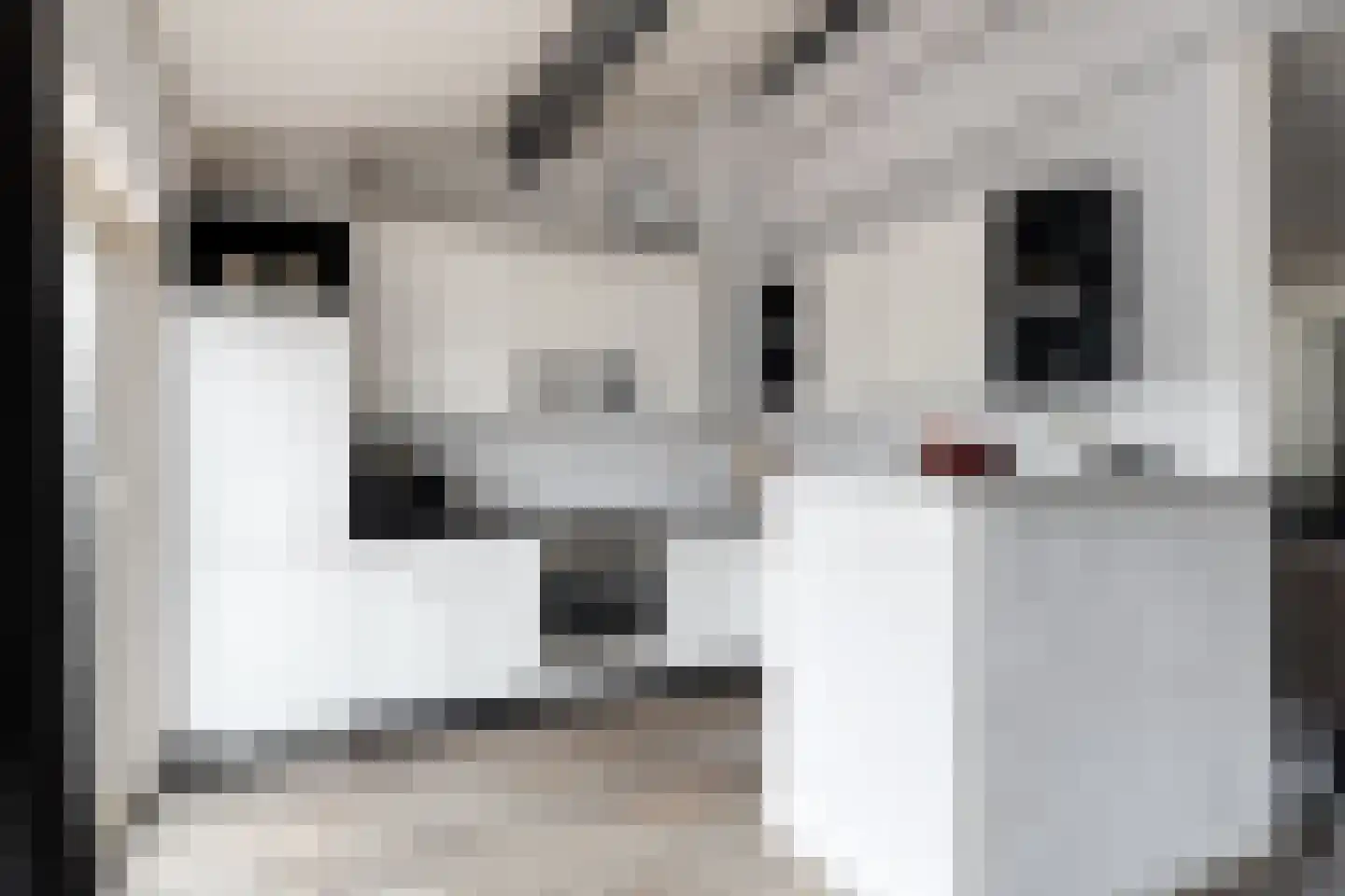 de Leemput 31 Halsteren thumbnail 17