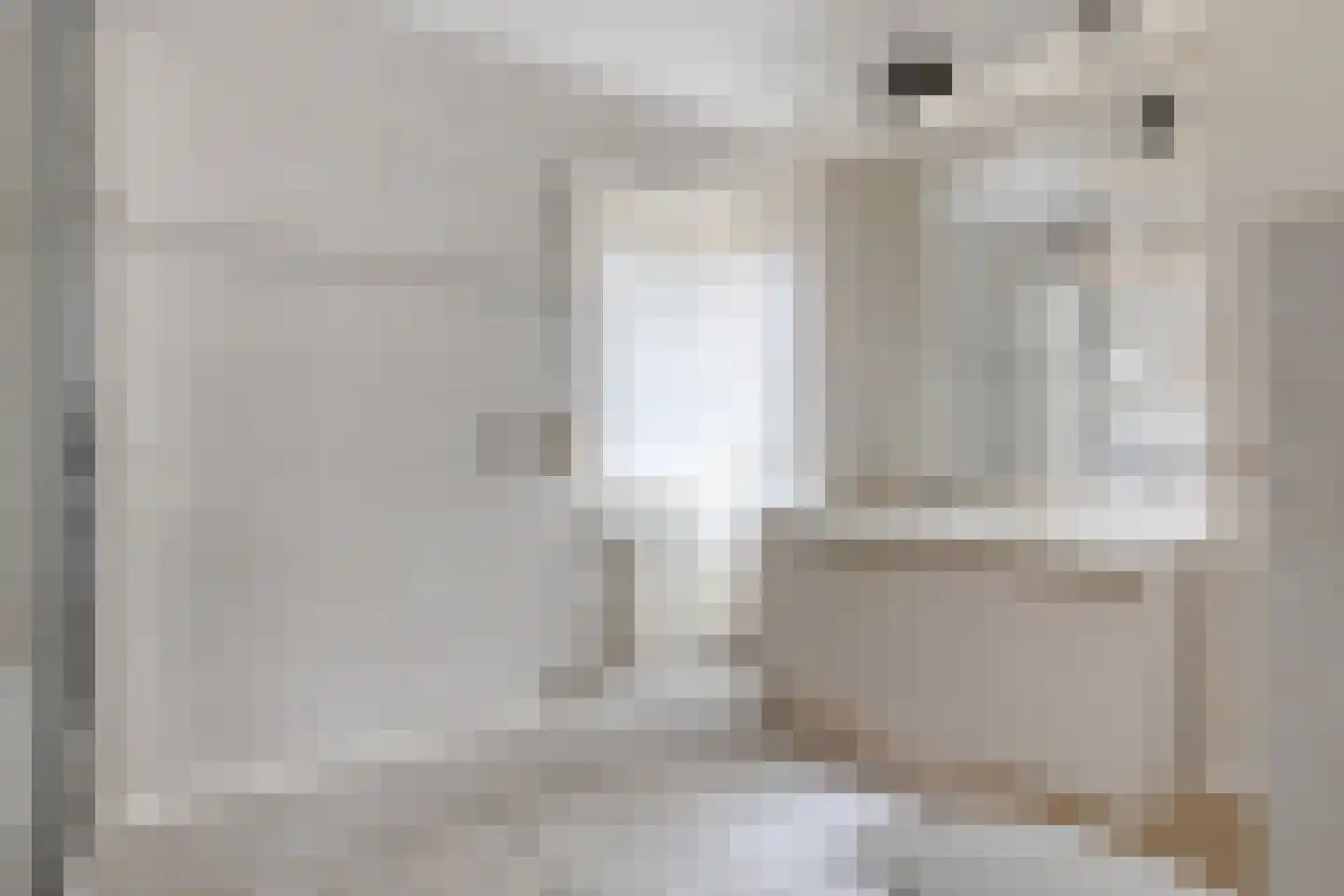 de Leemput 31 Halsteren thumbnail 24