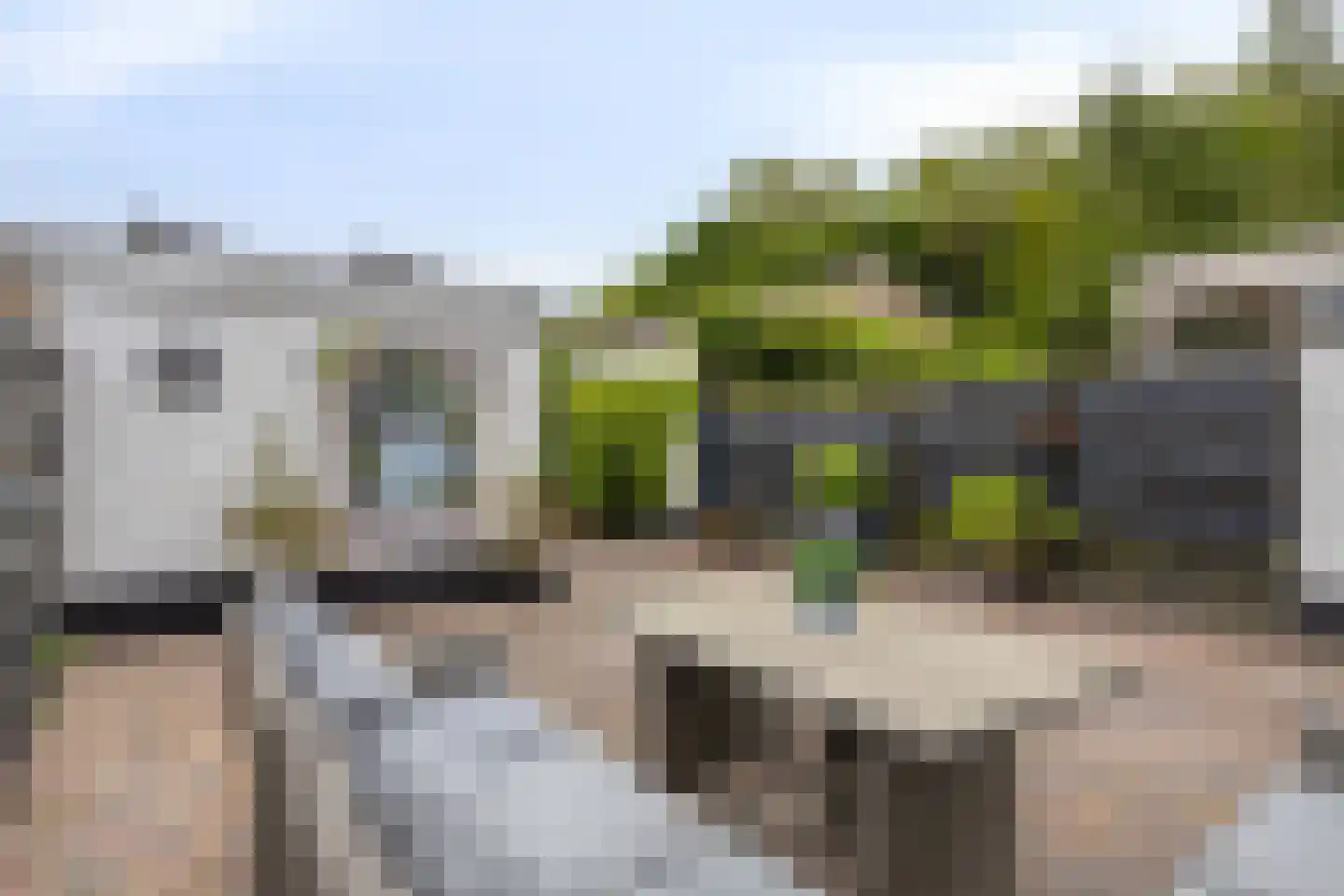 de Leemput 31 Halsteren thumbnail 29