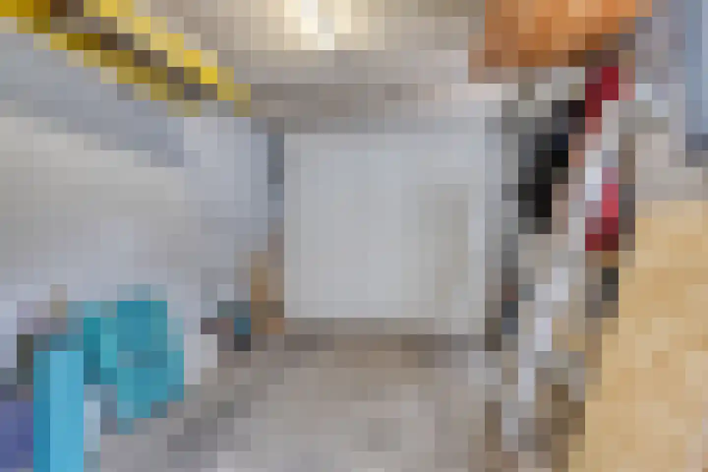de Leemput 31 Halsteren thumbnail 34