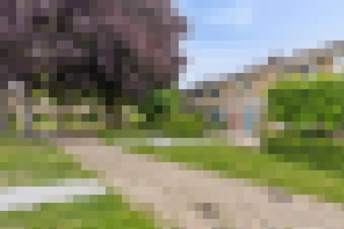 de Leemput 31 Halsteren thumbnail 35