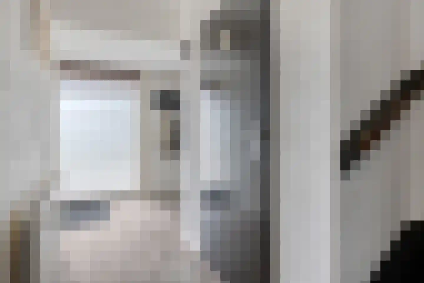 de Leemput 31 Halsteren thumbnail 7