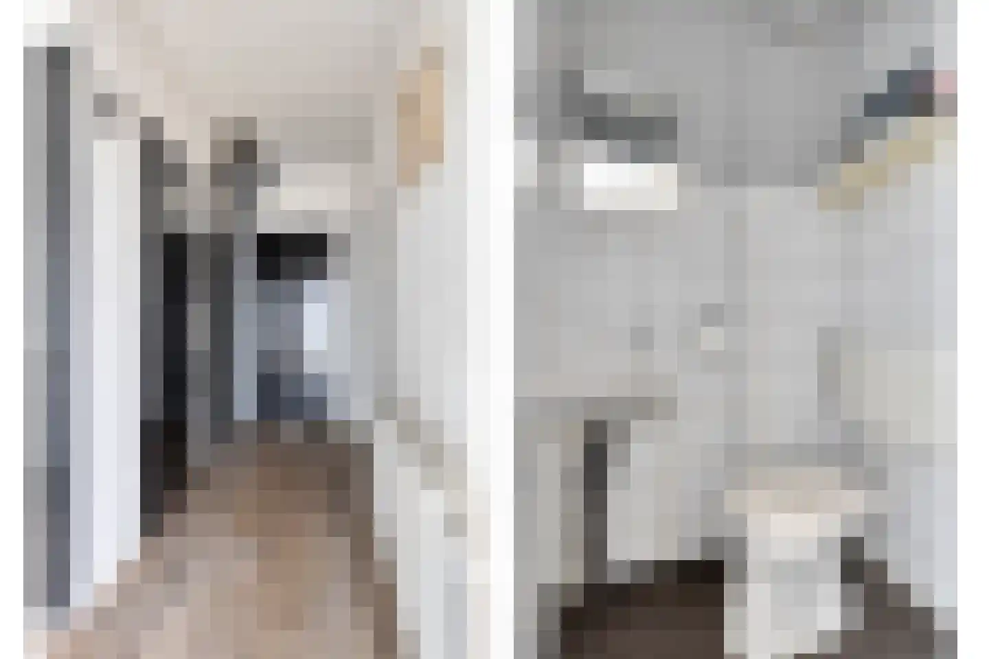 de Leemput 31 Halsteren thumbnail 8