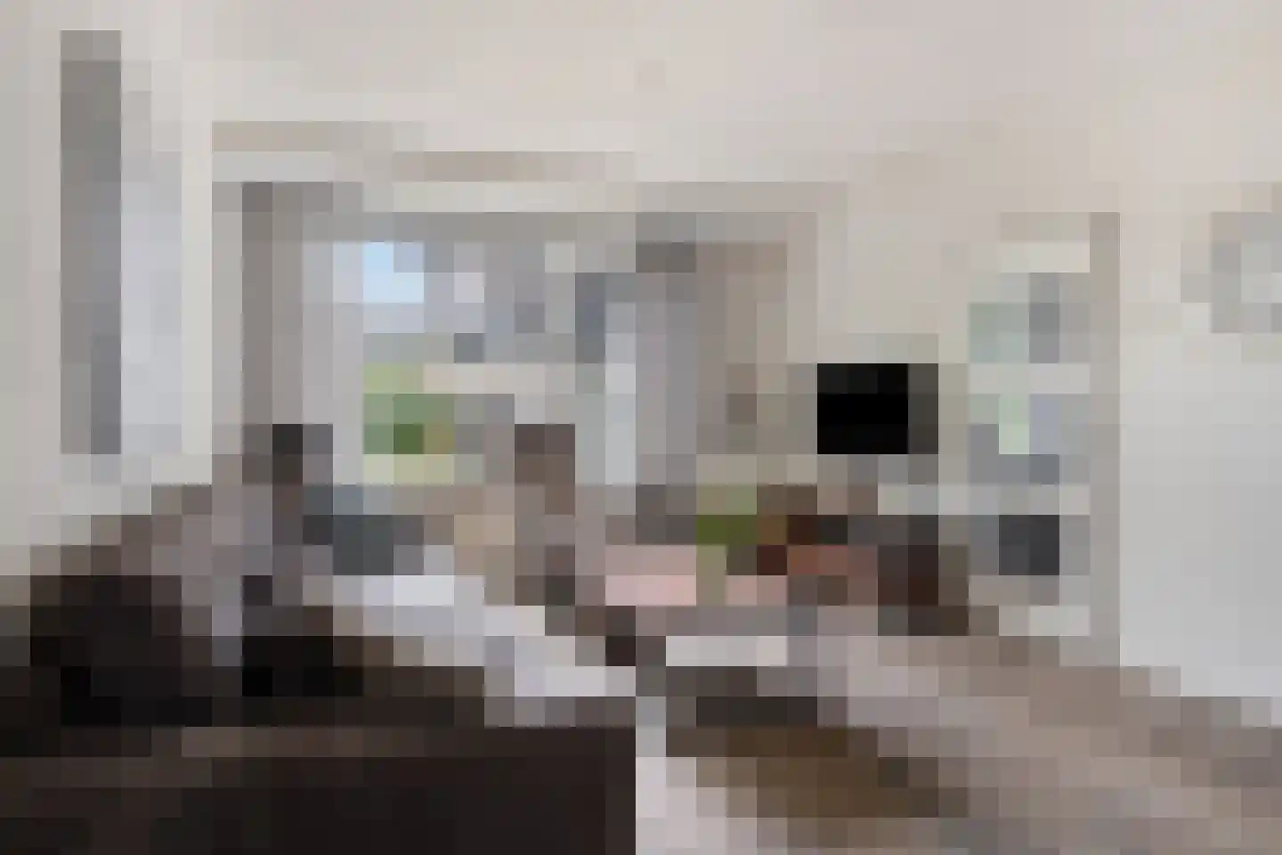de Leemput 31 Halsteren thumbnail 9