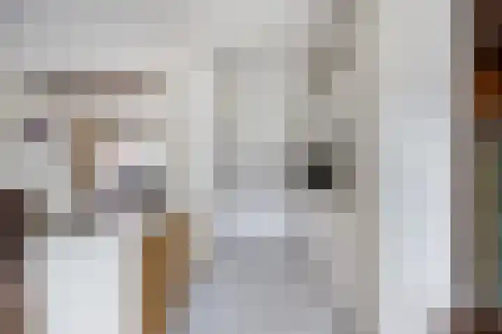 de Leemput 50 Halsteren thumbnail 10