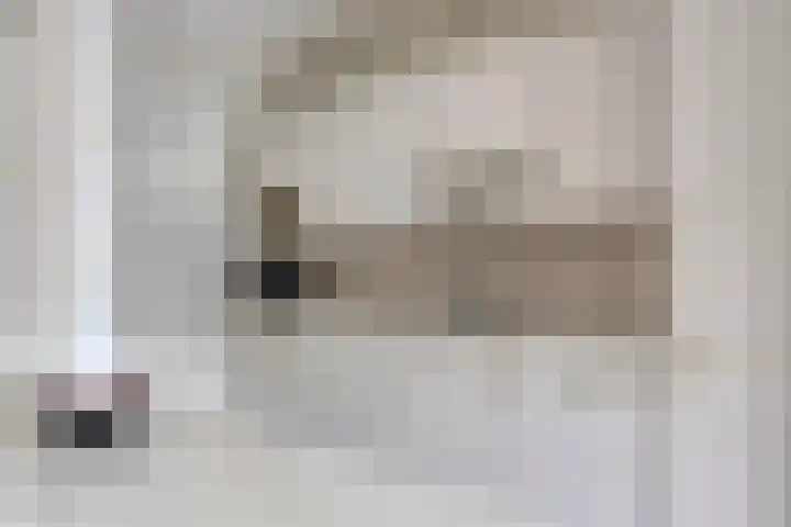 de Leemput 50 Halsteren thumbnail 11