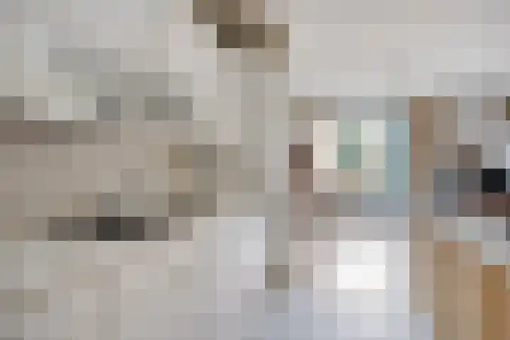 de Leemput 50 Halsteren thumbnail 13