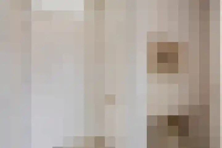 de Leemput 50 Halsteren thumbnail 15