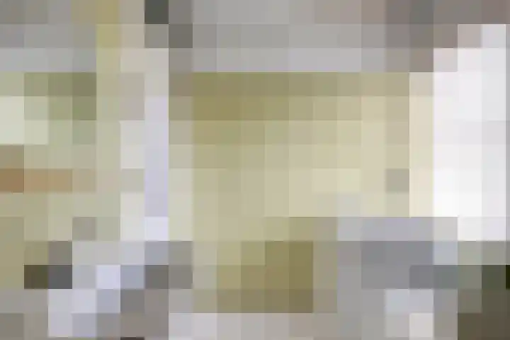 de Leemput 50 Halsteren thumbnail 20