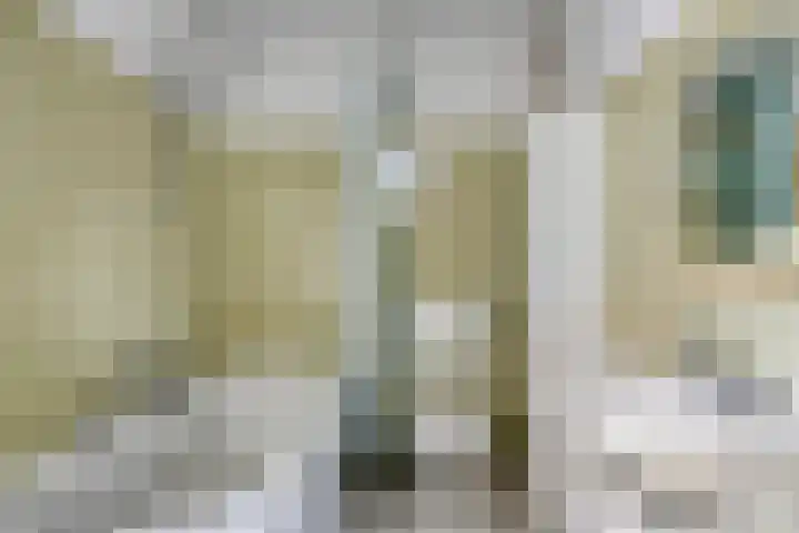 de Leemput 50 Halsteren thumbnail 21