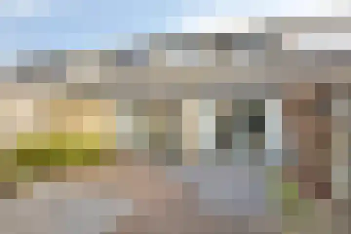 de Leemput 50 Halsteren thumbnail 23