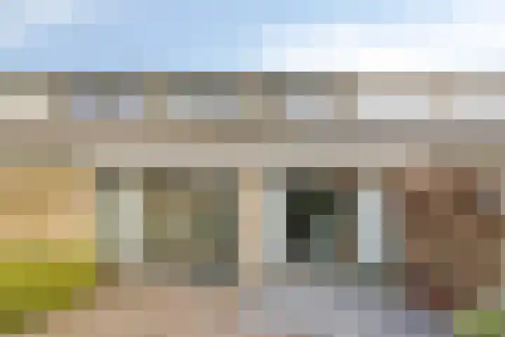 de Leemput 50 Halsteren thumbnail 24