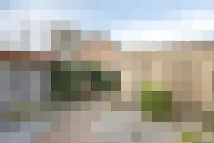 de Leemput 50 Halsteren thumbnail 25