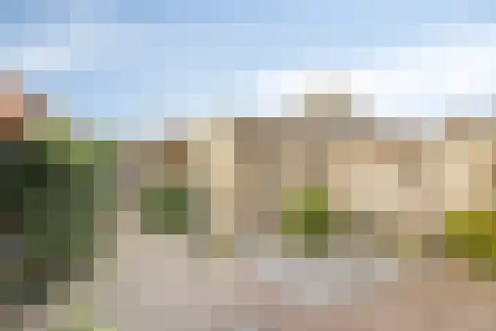 de Leemput 50 Halsteren thumbnail 26