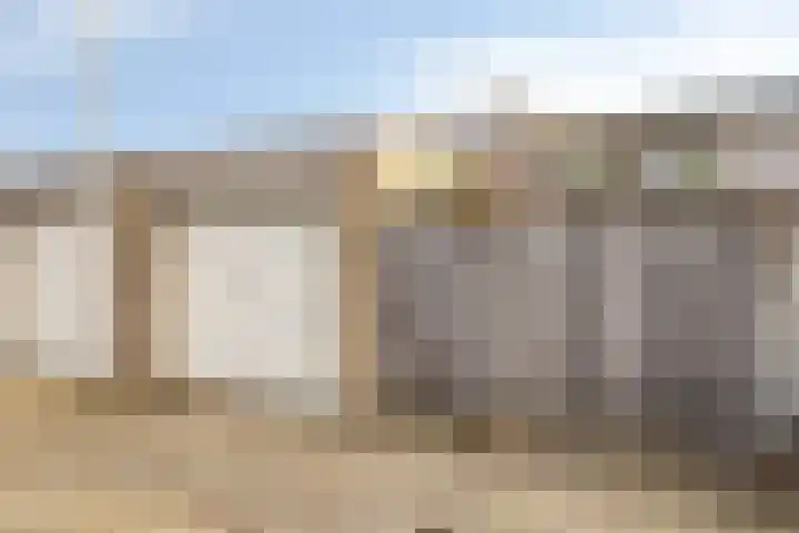 de Leemput 50 Halsteren thumbnail 27
