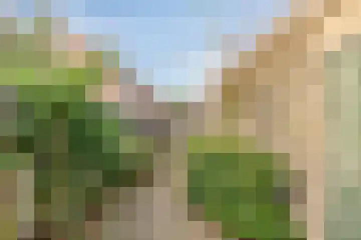 de Leemput 50 Halsteren thumbnail 28