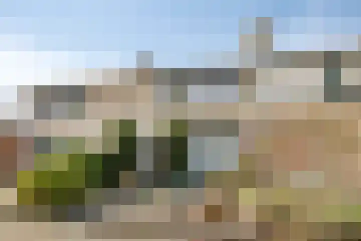 de Leemput 50 Halsteren thumbnail 29