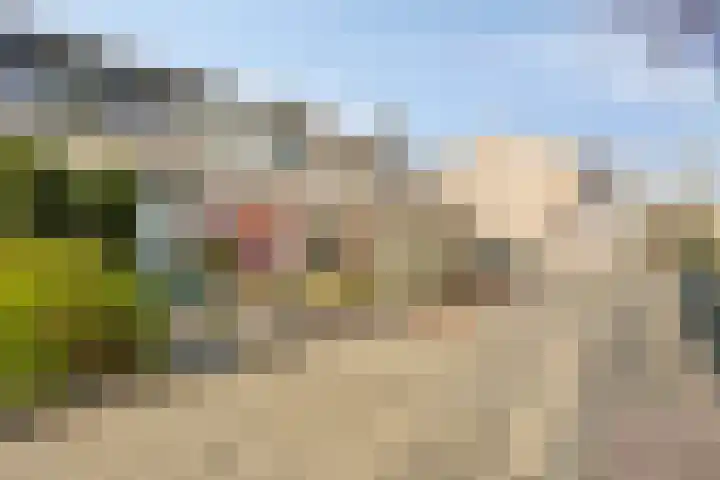 de Leemput 50 Halsteren thumbnail 30